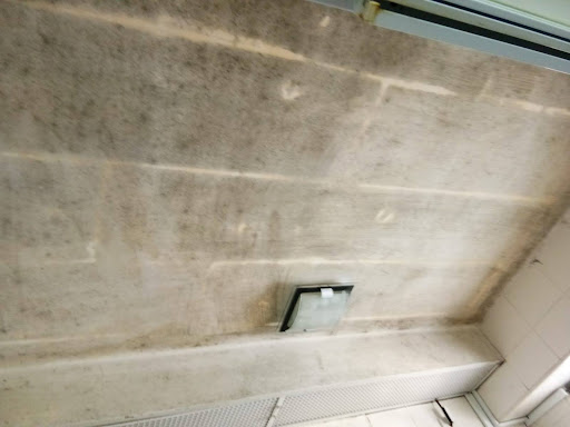 Active ceiling mould growth before Four Solutions remediation