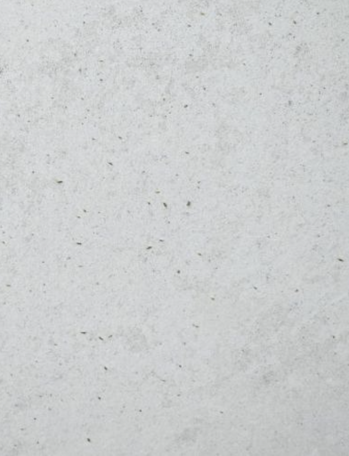 Booklice on a damp wall before Four Solutions source treatment in Singapore