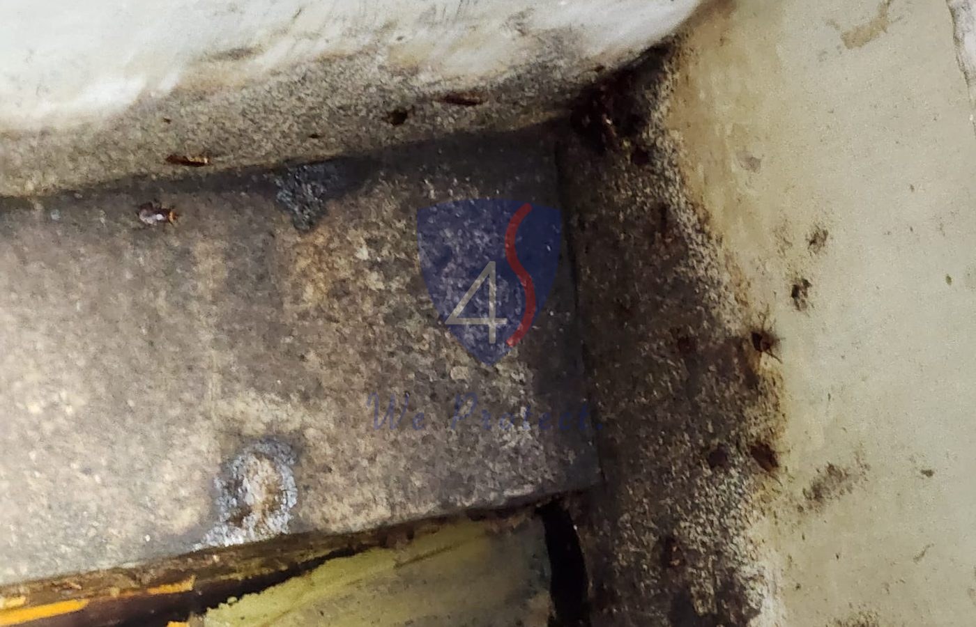 Commercial pest harbourage inspection by Four Solutions in Singapore
