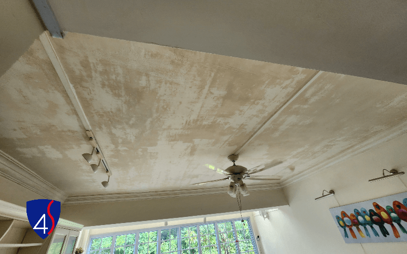 Mould growth on a ceiling in a Singapore home, from the Four Solutions archive
