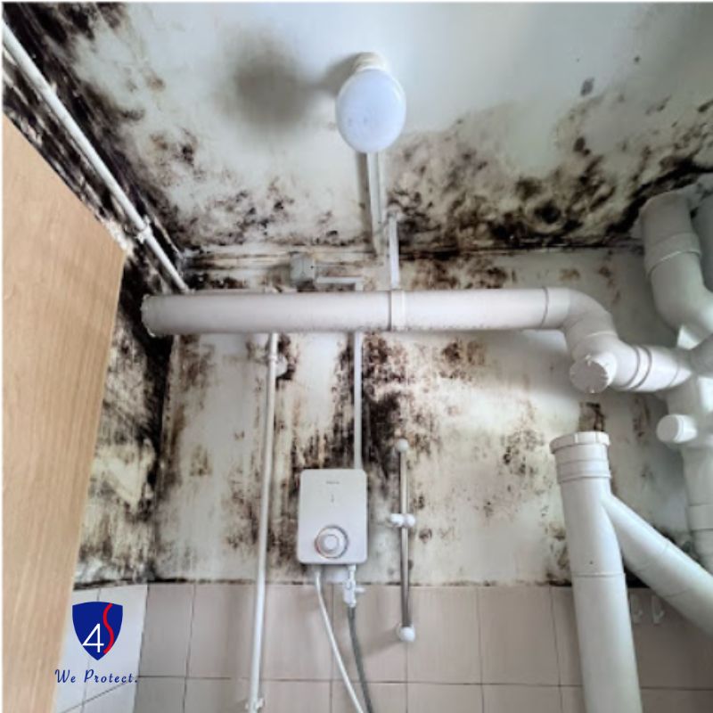 Toilet ceiling and upper walls with black mould around the pipes and water heater, before treatment