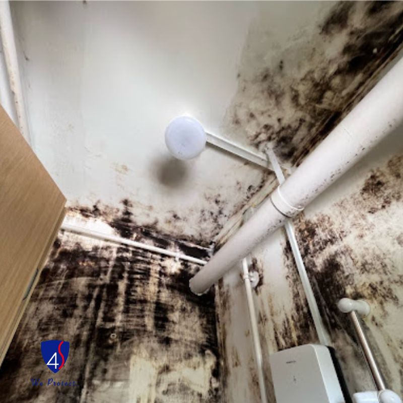 Toilet ceiling corner with black mould spreading down the walls beside a pipe, before treatment