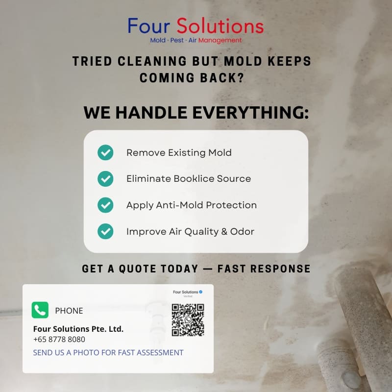 Four Solutions graphic: tried cleaning but mould keeps coming back